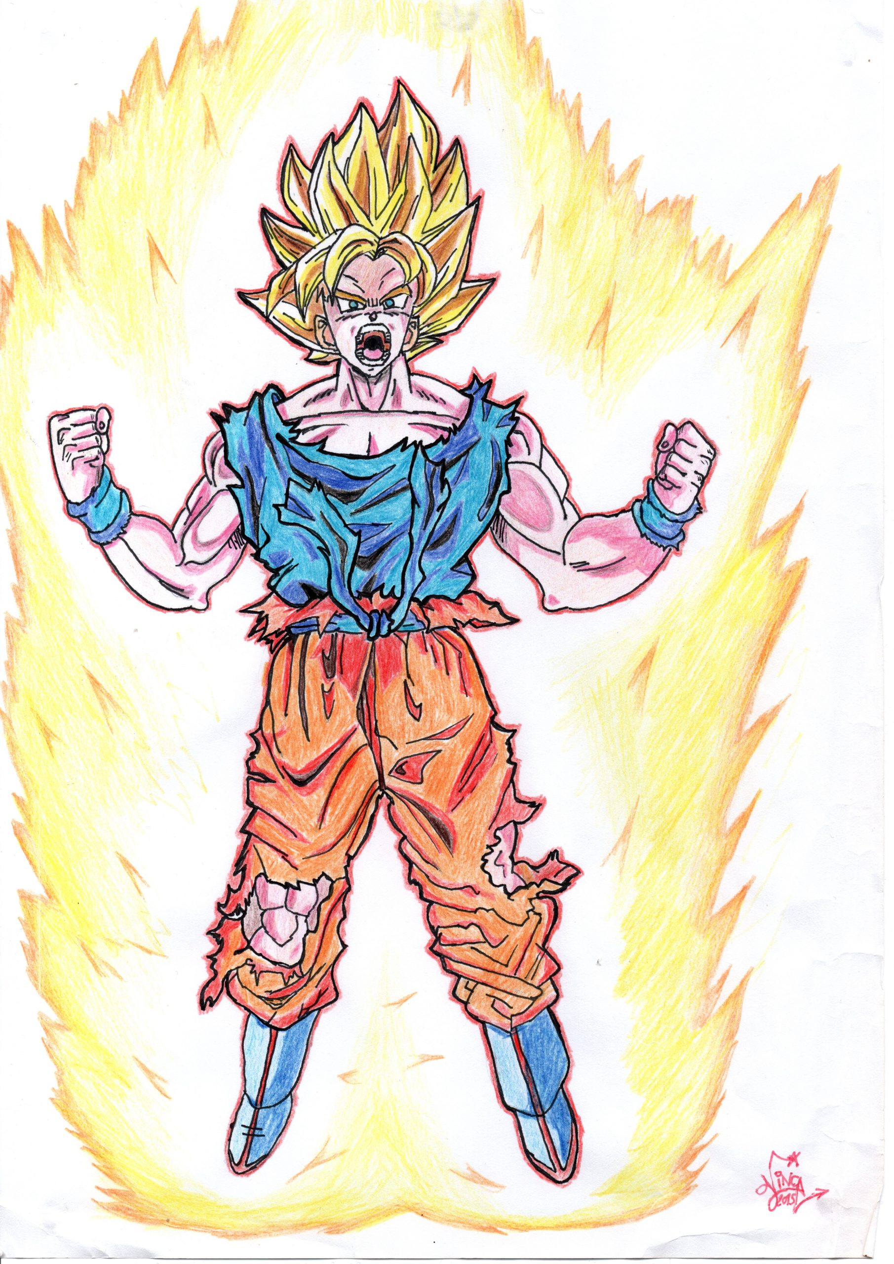 Kakarotto !